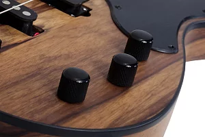 Бас-гитара SCHECTER MODEL-T 4 EXOTIC BLACK LIMBA BL 4