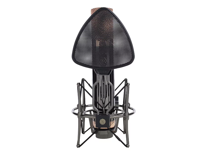 Профессиональный студийный ламповый микрофон Icon Space 251 11