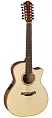 Электроакустическая гитара BATON ROUGE AR61S/ACEC-12