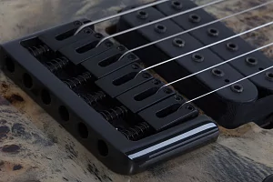 Электрогитара SCHECTER C-6 PRO CB 6