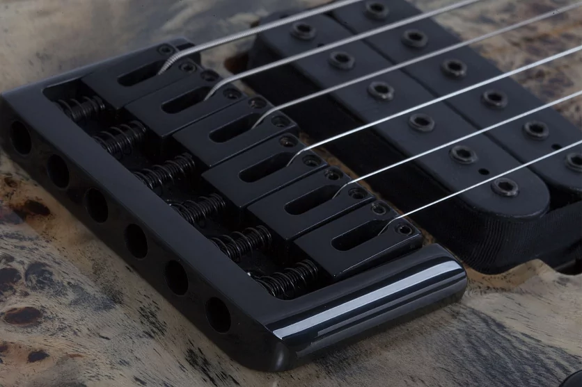 Электрогитара SCHECTER C-6 PRO CB 6