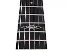 Электрогитара SCHECTER C-1 SGR BY SCHECTER BLK 25
