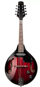 Электроакустическая мандолина STAGG M50 E