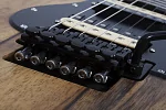 Электрогитара SCHECTER SUN VALLEY SUPER SHREDDER EXOTIC BLACK LIMBA BL 2