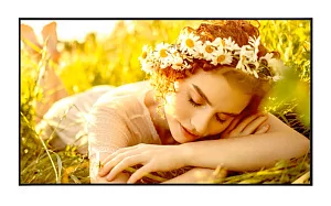 Профессиональный дисплей LG 32UL5Q-E