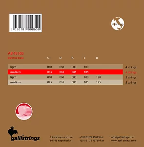 Комплект струн GALLI STRINGS AB45105 2