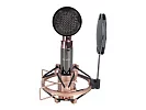 Профессиональный студийный конденсаторный микрофон Icon Aurora 11