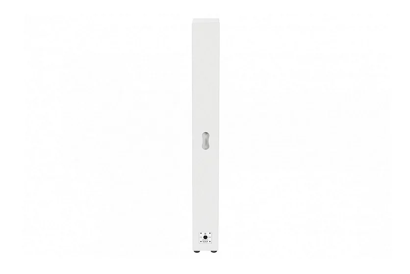 Акустическая система DS Proaudio PLR TOP III WH 4