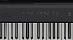 Портативное цифровое пианино ROLAND FP-E50 8
