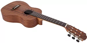 Гитарлеле BATON ROUGE V2-G sun 4