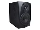Акустическая система (студийный монитор) Icon DT-5S