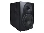 Акустическая система (студийный монитор) Icon DT-5S