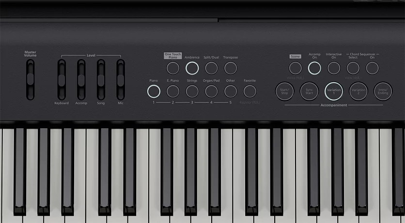 Портативное цифровое пианино ROLAND FP-E50 7