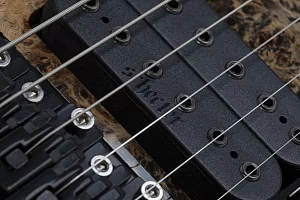 Электрогитара SCHECTER C-6 FR PRO CB 6
