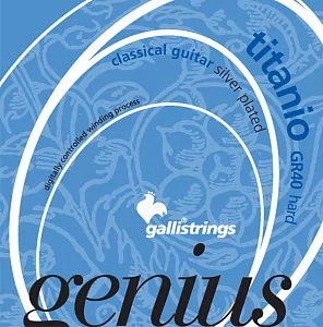 Комплект струн GALLI STRINGS GR40