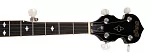 Банджо STAGG BJM-30 DL 5