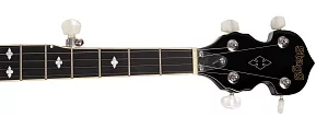 Банджо STAGG BJM-30 DL 5