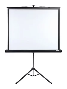 [LMV-100113] Экран на штативе Lumien Master View