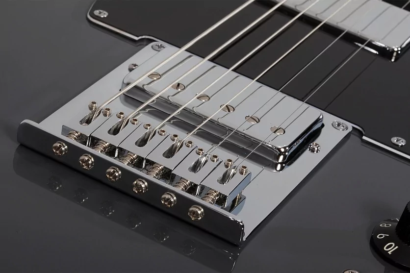 Электрогитара SCHECTER PT EX DORIAN GRAY DG 11