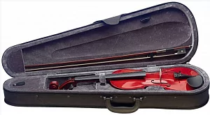 Скрипка STAGG VN-4/4 TR 3