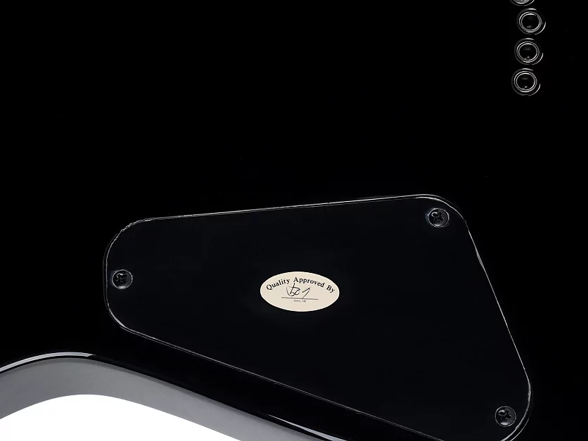 Электрогитара SCHECTER C-1 SGR BY SCHECTER BLK 19