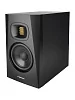 Акустическая система (студийный монитор) Adam T5V 12