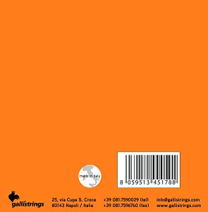 Комплект струн GALLI STRINGS G1430