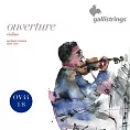 Комплект струн GALLI STRINGS OV44