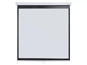 [LMP-100118CSR] Настенный экран Lumien Master Picture CSR