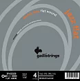 Комплект струн GALLI STRINGS JF45105
