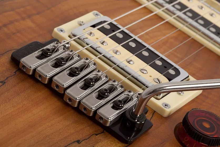 Электрогитара SCHECTER C-1 EXOTIC SPALTED MAPLE SNVB 7