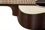 Акустическая гитара BATON ROUGE X11LS/F 4