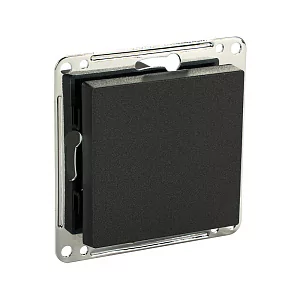 Сценарный выключатель 1-кл, модуль 55х55, Bus77, Графит iRidi DB-00-55-0104