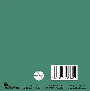Комплект струн GALLI STRINGS G210