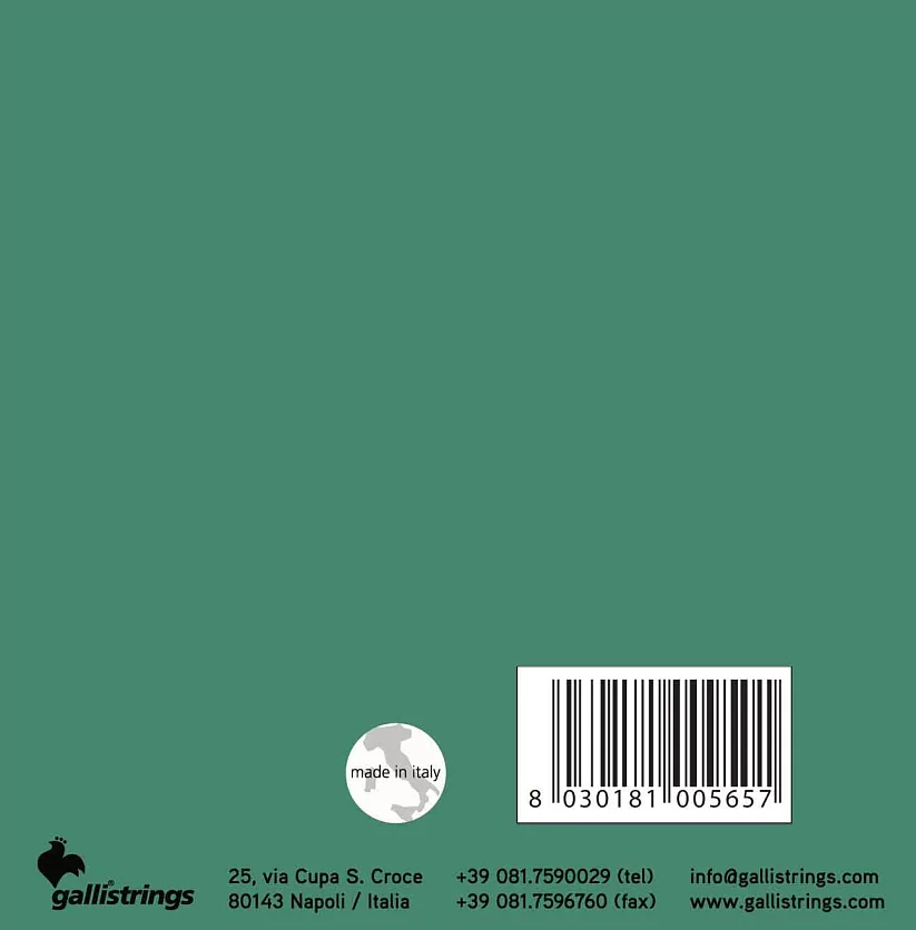 Комплект струн GALLI STRINGS G210