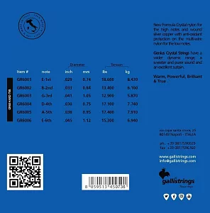 Комплект струн GALLI STRINGS GR60 3