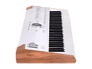Сценическая клавиатура Arturia Astrolab White 8