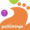 Комплект струн GALLI STRINGS FG017