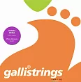 Комплект струн GALLI STRINGS FG017