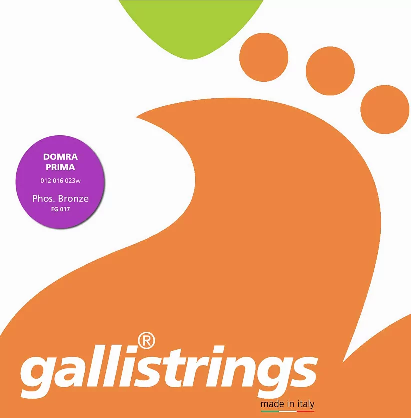 Комплект струн GALLI STRINGS FG017