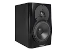Акустическая система (студийный монитор) Dynaudio LYD 5 B/B 8