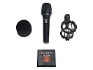 Ручной вокальный микрофон Icon Thunder X 6