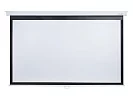 [LMP-100120] Настенный экран Lumien Master Picture