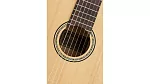 Классическая гитара LA MANCHA C-Lime-TN-R 5