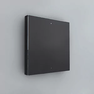 Сценарный выключатель 2 iRidi FS-BT2-05