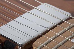 Электрогитара SCHECTER PT VAN NUYS G.NAT ASH GNA 5