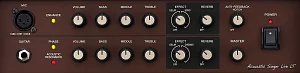 Комбоусилитель BOSS ACS-LIVELT 2