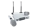 Микрофонная радиосистема Axelvox DX800SW