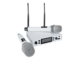 Микрофонная радиосистема Axelvox DX800SW