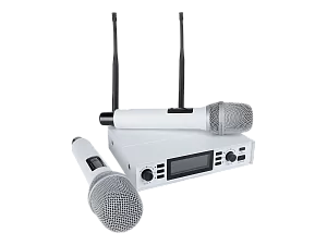 Микрофонная радиосистема Axelvox DX800SW